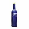 Budget 💯 BarMan Flair Bottle - Blue Skyy Vodka - 750ml 🎁 -barman shop skyflair 700x700